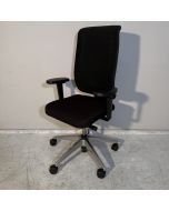 Girsberger reflex (bs956)